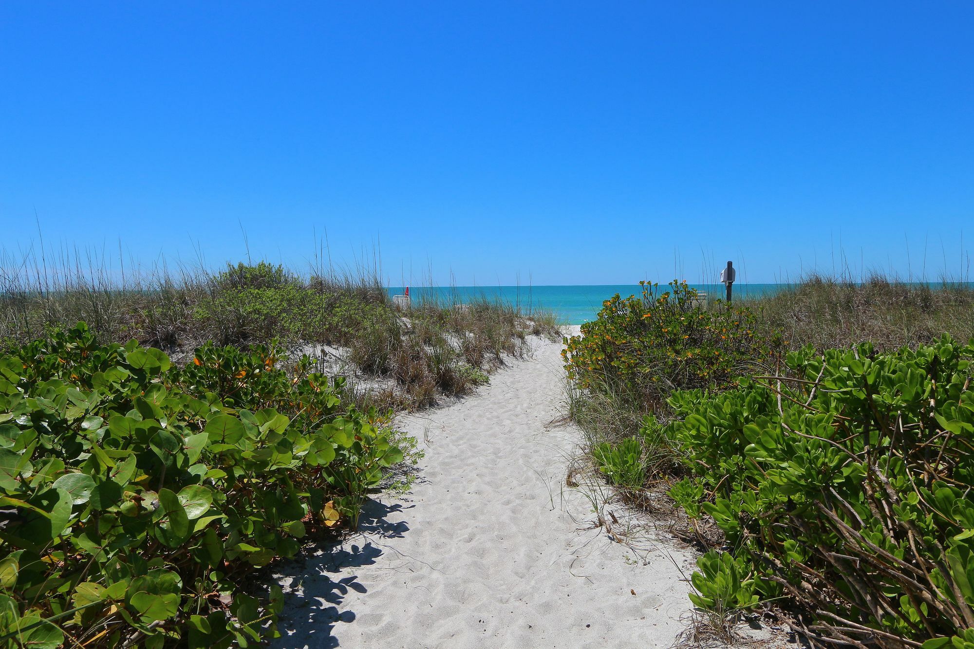 The Beach On Longboat Key Dış mekan fotoğraf