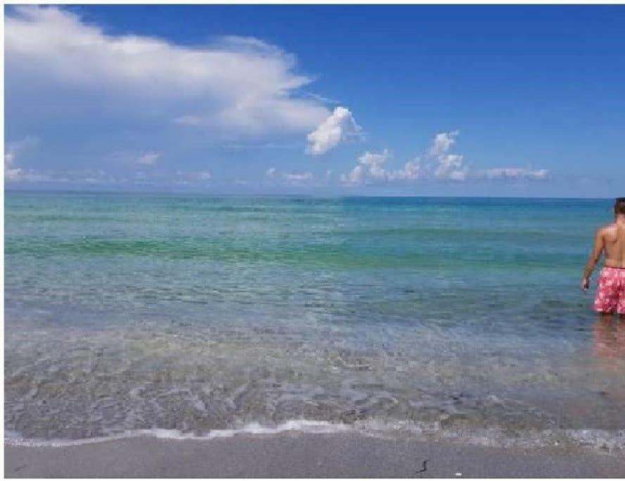 The Beach On Longboat Key Dış mekan fotoğraf
